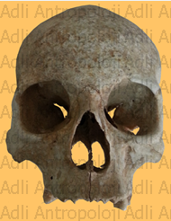 http://www.adliantropoloji.com/images/539891a3-bf51-4f8d-8303-56f678089a77.png