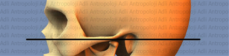 http://www.adliantropoloji.com/images/slideheader0.jpg