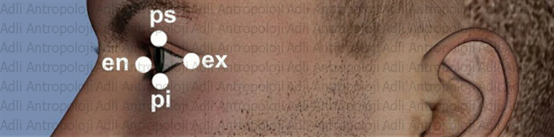 http://www.adliantropoloji.com/images/slideheader1.jpg